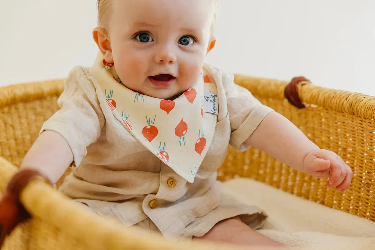 Copper Pearl - Bandana Bib (4 pack) - Veggies
