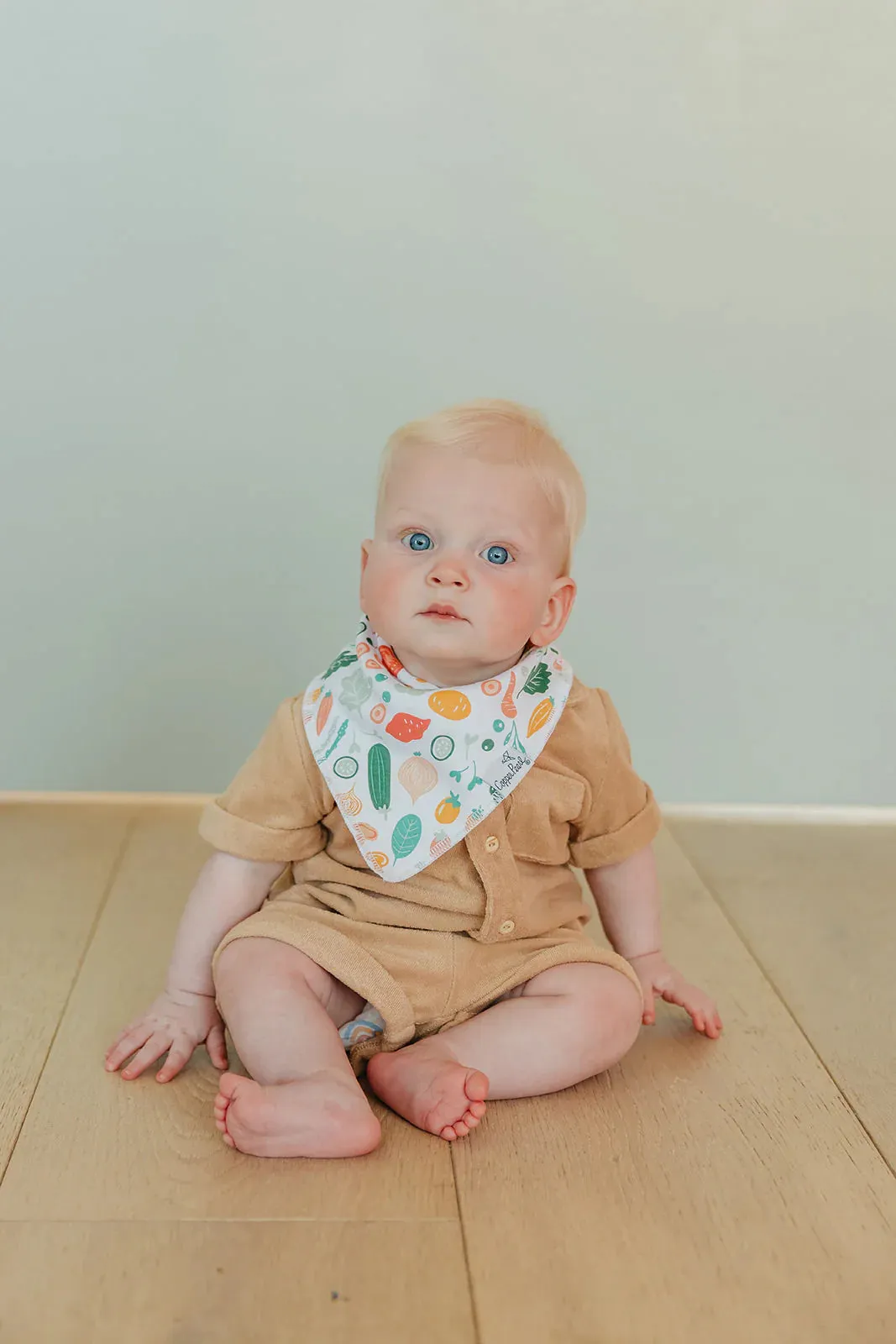 Copper Pearl - Bandana Bib (4 pack) - Veggies