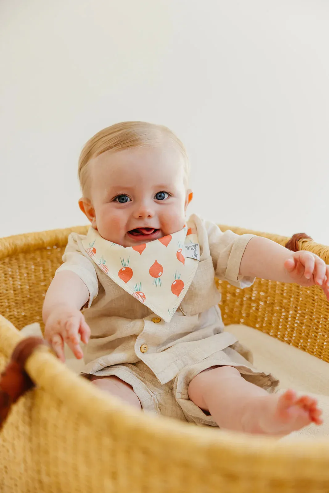 Copper Pearl - Bandana Bib (4 pack) - Veggies