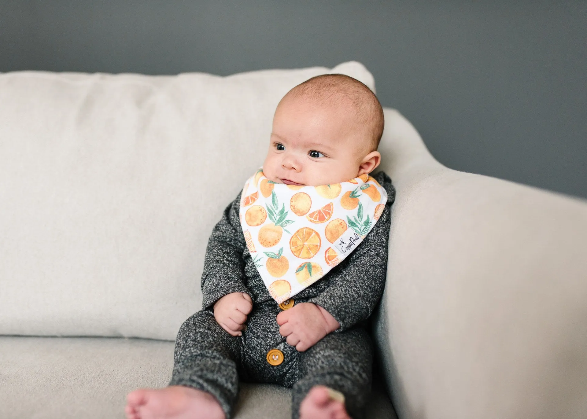 Copper Pearl Citrus Bandana Bib Set