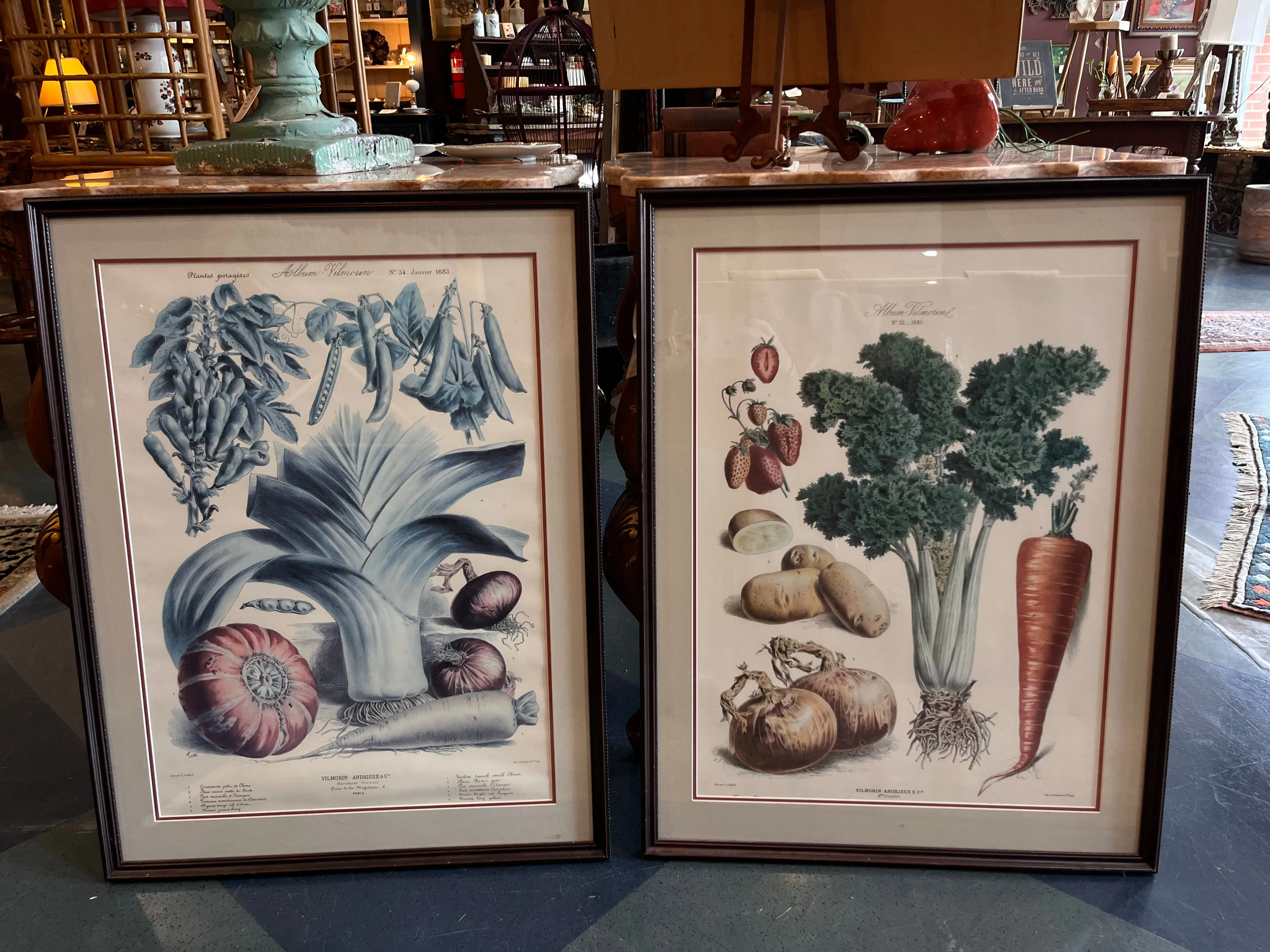 Framed Album Vilmorin Vegetable Print #1