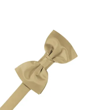 Golden Luxury Satin Kids Bow Tie