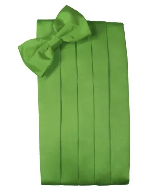 Kelly Luxury Satin Cummerbund
