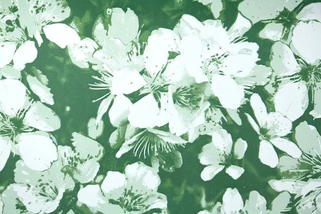 One-of-a-kind Wallpaper Roll