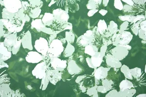 One-of-a-kind Wallpaper Roll