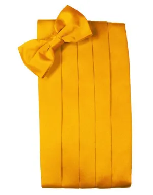 Tangerine Luxury Kids Satin Cummerbund
