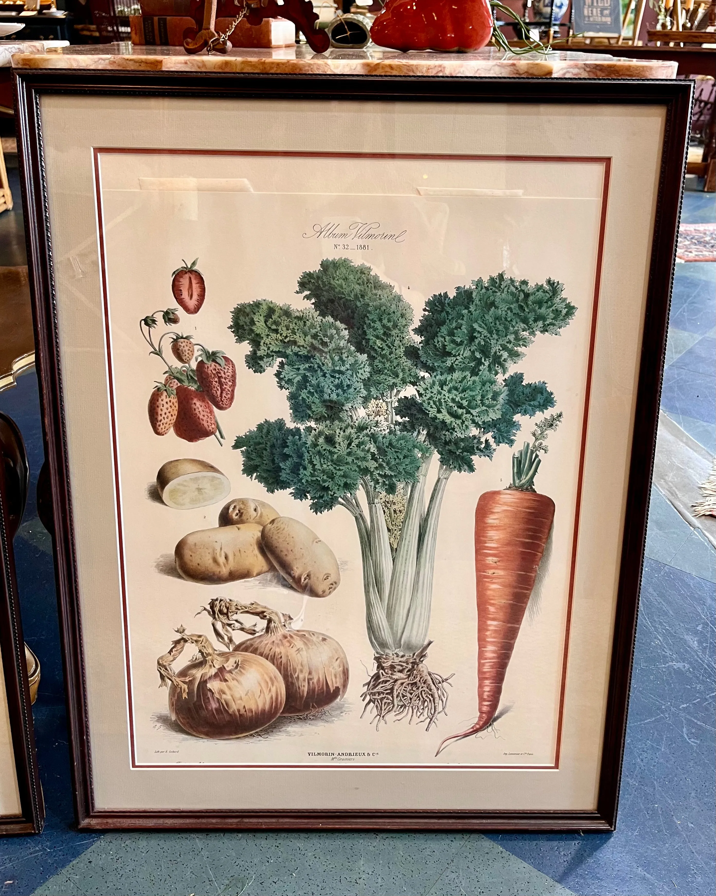 Vintage album vilmorin vegetable framed print #2