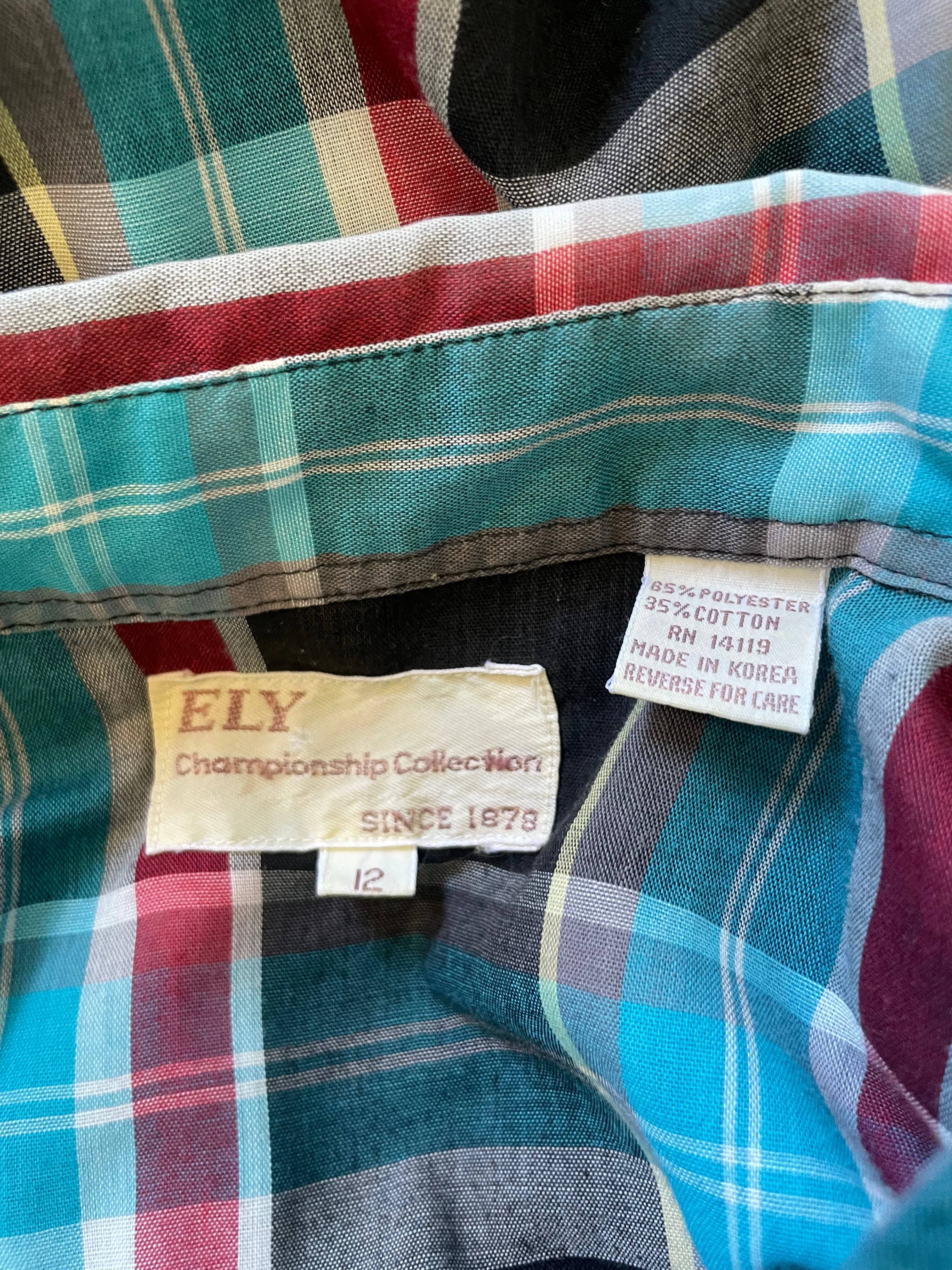 Vintage Ely Aqua Plaid Ruffle Western Shirt